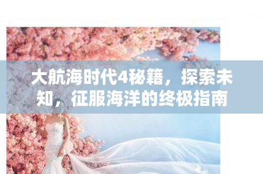 大航海时代4秘籍，探索未知，征服海洋的终极指南