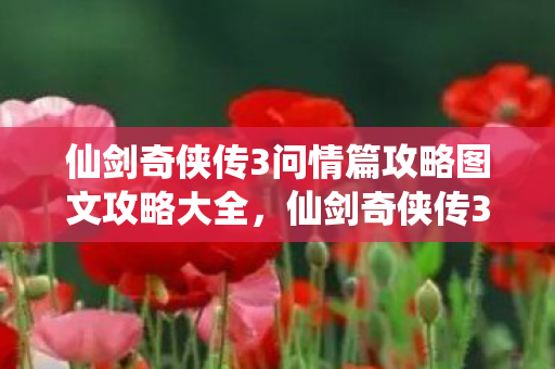 仙剑奇侠传3问情篇攻略图文攻略大全，仙剑奇侠传3问情篇攻略，重温经典，掌握攻略技巧