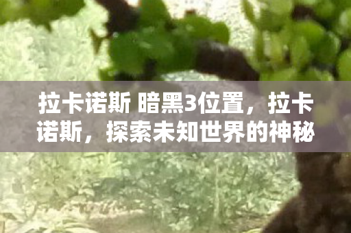 拉卡诺斯 暗黑3位置，拉卡诺斯，探索未知世界的神秘之旅