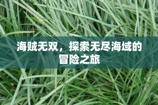 海贼无双,探索无尽海域的冒险之旅 海贼无双,探索无尽海域的冒险之旅