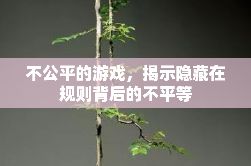 不公平的游戏，揭示隐藏在规则背后的不平等