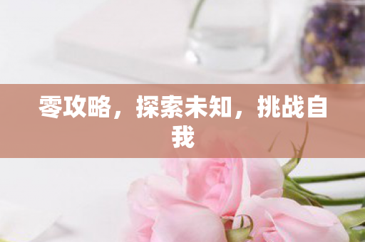 零攻略，探索未知，挑战自我