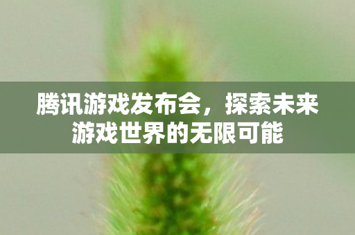 腾讯游戏发布会，探索未来游戏世界的无限可能