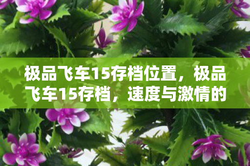 极品飞车15存档位置，极品飞车15存档，速度与激情的延续