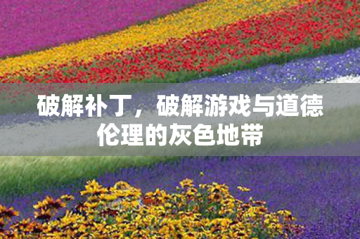 破解补丁，破解游戏与道德伦理的灰色地带