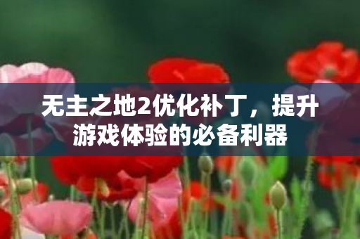 无主之地2优化补丁，提升游戏体验的必备利器