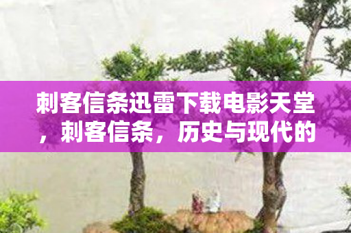 刺客信条迅雷下载电影天堂，刺客信条，历史与现代的交织