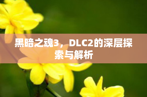 黑暗之魂3，DLC2的深层探索与解析
