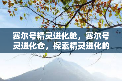 赛尔号精灵进化舱，赛尔号灵进化仓，探索精灵进化的奥秘