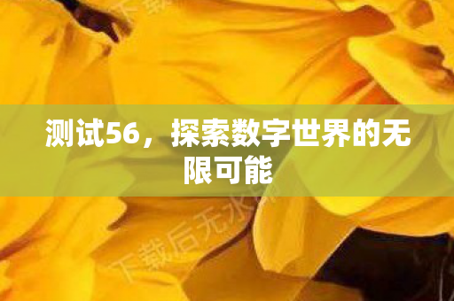 测试56，探索数字世界的无限可能