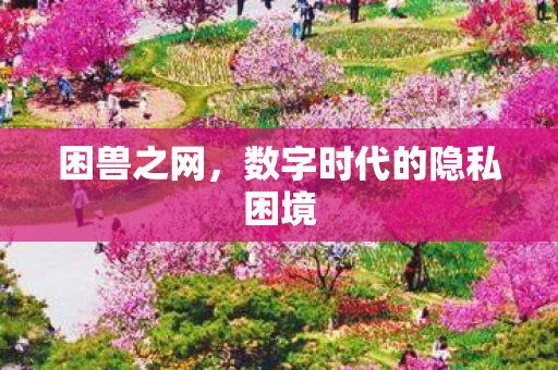 困兽之网,数字时代的隐私困境 困兽之网,数字时代的隐私困境