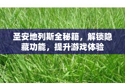 圣安地列斯全秘籍，解锁隐藏功能，提升游戏体验