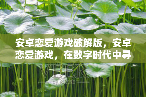安卓恋爱游戏破解版，安卓恋爱游戏，在数字时代中寻找浪漫