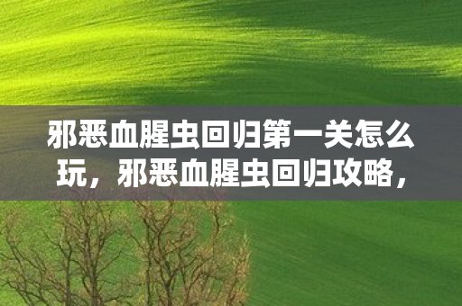 邪恶血腥虫回归第一关怎么玩，邪恶血腥虫回归攻略，打造最强战斗力的全面指南