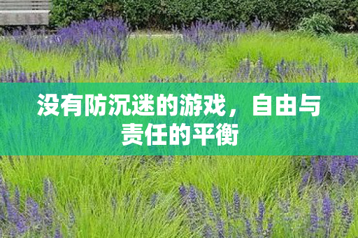 没有防沉迷的游戏，自由与责任的平衡