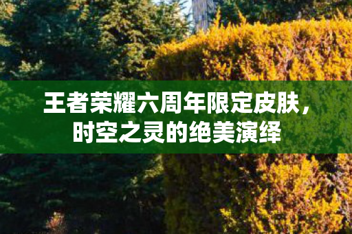 王者荣耀六周年限定皮肤，时空之灵的绝美演绎