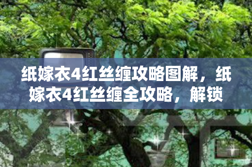纸嫁衣4红丝缠攻略图解，纸嫁衣4红丝缠全攻略，解锁神秘古墓的奥秘