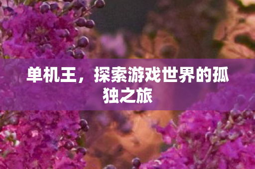 单机王，探索游戏世界的孤独之旅