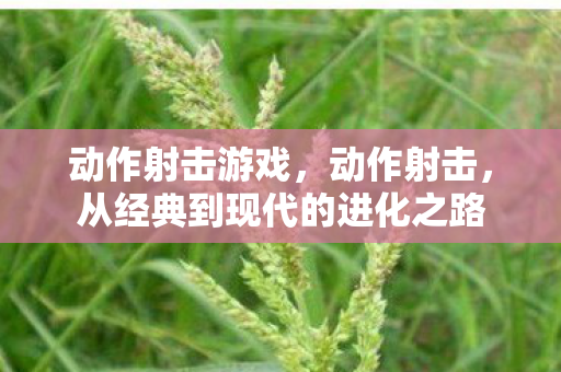 动作射击游戏，动作射击，从经典到现代的进化之路