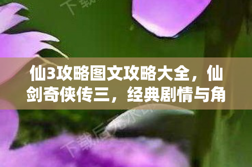 仙3攻略图文攻略大全，仙剑奇侠传三，经典剧情与角色攻略