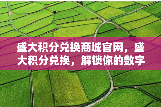 盛大积分兑换商城官网,盛大积分兑换,解锁你的数字生活新体验 盛大积分兑换商城官网,盛大积分兑换,解锁你的数字生活新体验