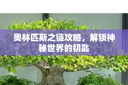 奥林匹斯之链攻略，解锁神秘世界的钥匙