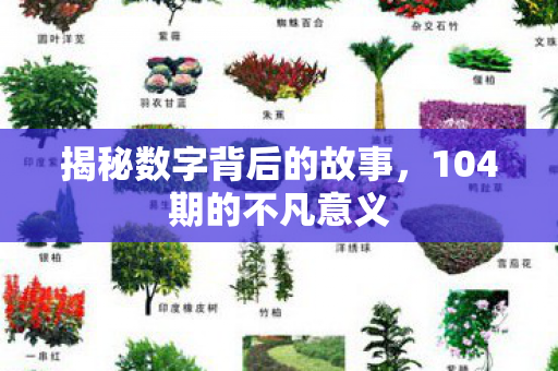 揭秘数字背后的故事，104期的不凡意义
