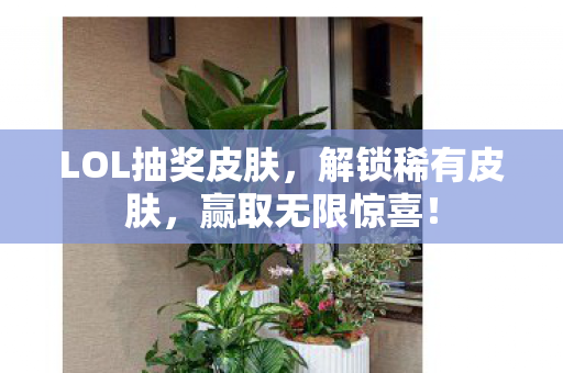 LOL抽奖皮肤，解锁稀有皮肤，赢取无限惊喜！