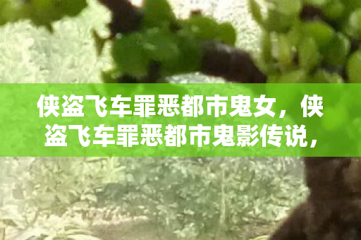 侠盗飞车罪恶都市鬼女，侠盗飞车罪恶都市鬼影传说，探索隐藏的秘密与传说