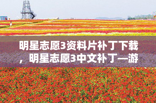 明星志愿3资料片补丁下载，明星志愿3中文补丁—游戏爱好者的福音