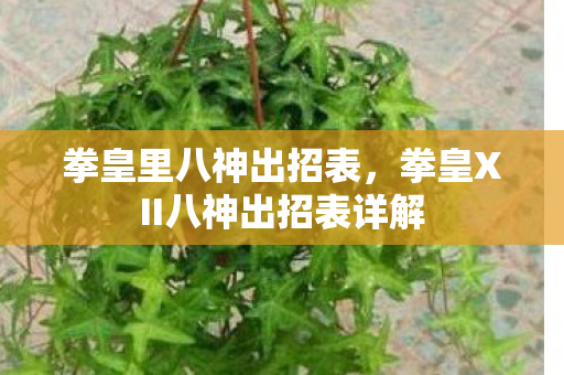 拳皇里八神出招表，拳皇XII八神出招表详解