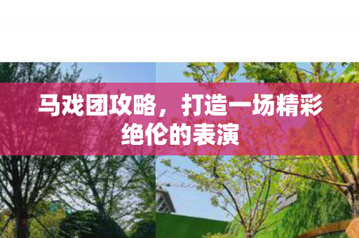 马戏团攻略，打造一场精彩绝伦的表演