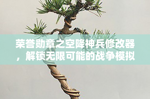 荣誉勋章之空降神兵修改器，解锁无限可能的战争模拟工具