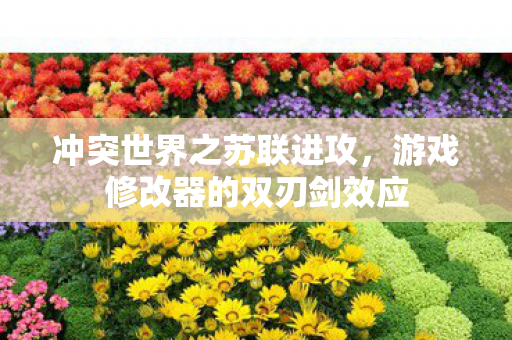 冲突世界之苏联进攻,游戏修改器的双刃剑效应 冲突世界之苏联进攻,游戏修改器的双刃剑效应