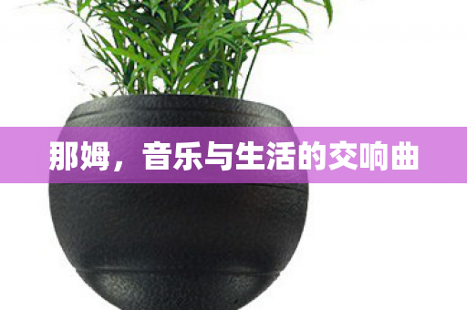 那姆，音乐与生活的交响曲