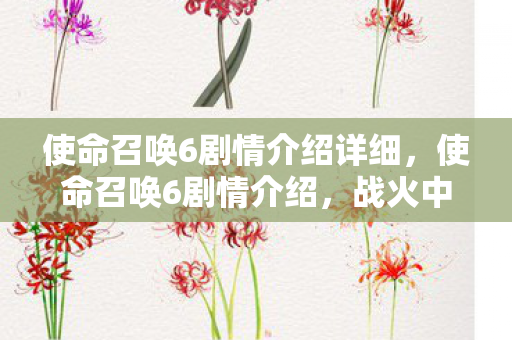 使命召唤6剧情介绍详细，使命召唤6剧情介绍，战火中的英雄与牺牲