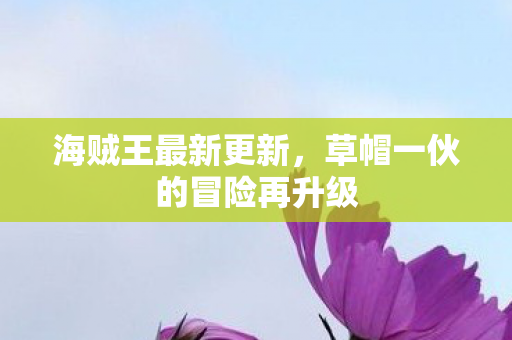 海贼王最新更新，草帽一伙的冒险再升级