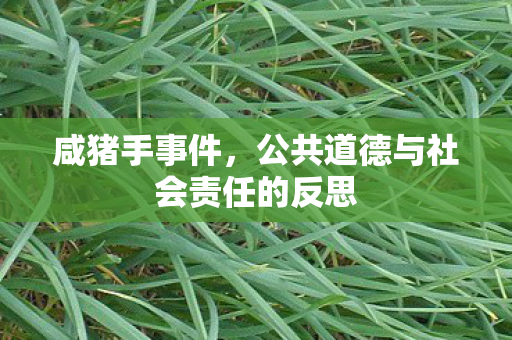 咸猪手事件，公共道德与社会责任的反思