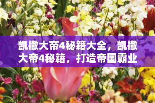 凯撒大帝4秘籍大全，凯撒大帝4秘籍，打造帝国霸业的策略与技巧