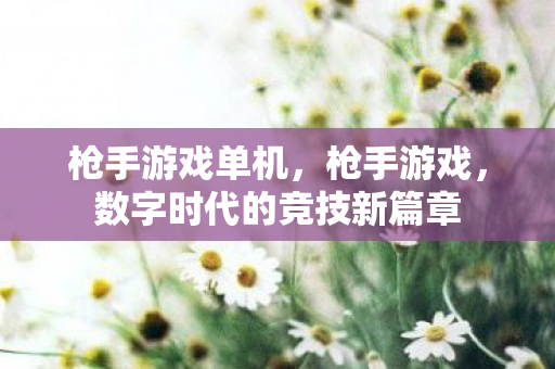 枪手游戏单机，枪手游戏，数字时代的竞技新篇章