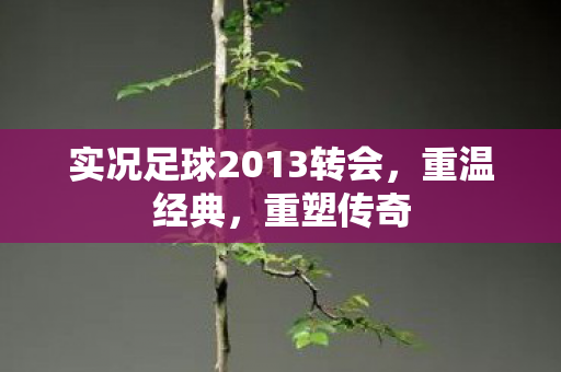 实况足球2013转会，重温经典，重塑传奇