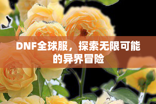DNF全球服，探索无限可能的异界冒险