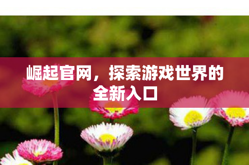 崛起官网，探索游戏世界的全新入口