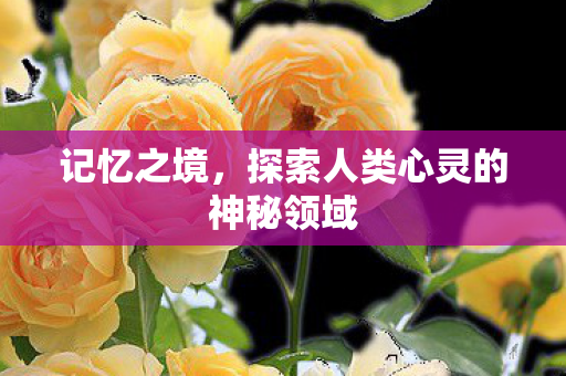 记忆之境，探索人类心灵的神秘领域