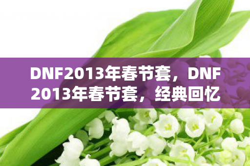 DNF2013年春节套,DNF2013年春节套,经典回忆与游戏文化的传承 DNF2013年春节套,DNF2013年春节套,经典回忆与游戏文化的传承