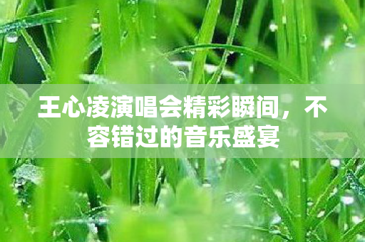 王心凌演唱会精彩瞬间，不容错过的音乐盛宴