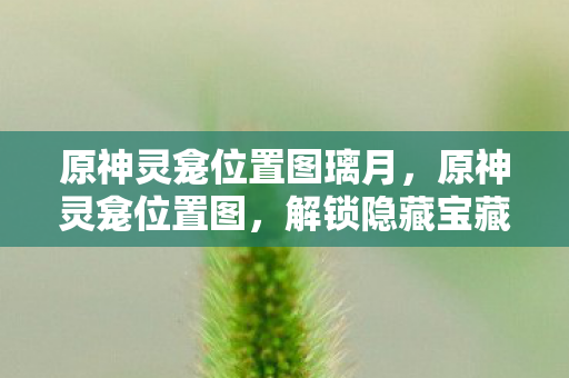 原神灵龛位置图璃月，原神灵龛位置图，解锁隐藏宝藏的指南