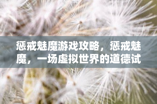惩戒魅魔游戏攻略，惩戒魅魔，一场虚拟世界的道德试炼