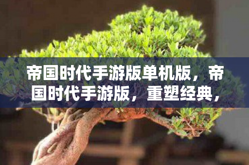 帝国时代手游版单机版，帝国时代手游版，重塑经典，引领策略游戏新潮流