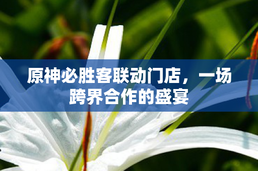 原神必胜客联动门店，一场跨界合作的盛宴